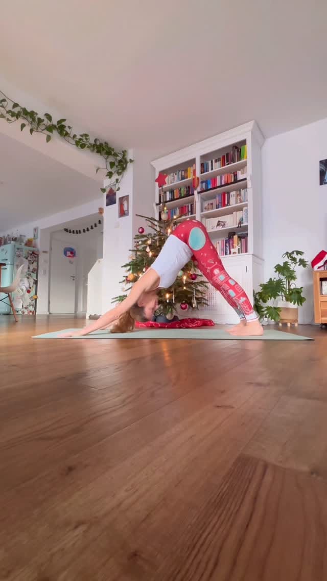 Post 6 by Tine on Instagram (video)