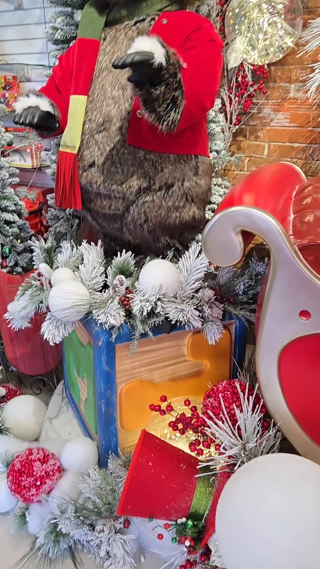 Post 8 by Dios me Guia on Instagram (video)