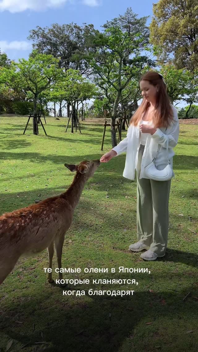 Post 7 by Аlena Martirosova on Instagram (video)