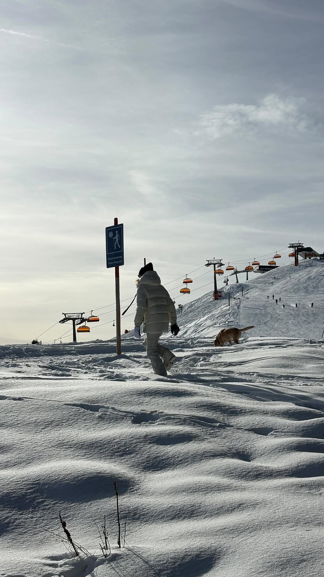 Post 9 by Martin Michelius on Instagram (video)