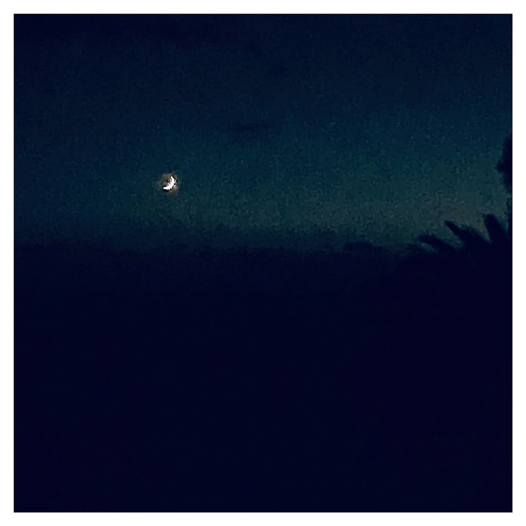 Post 7 by Zoe Naylor on Instagram (image)