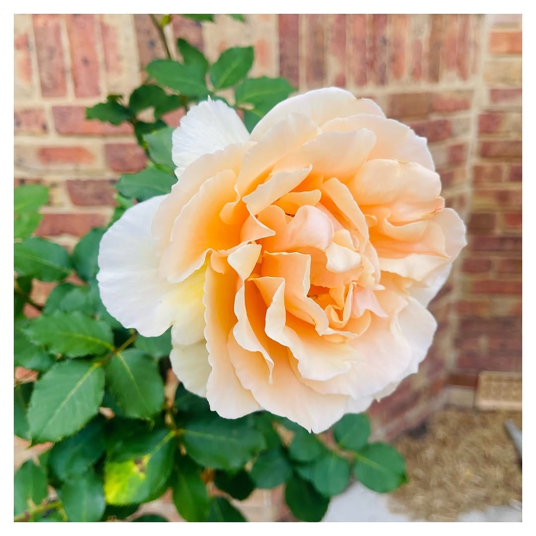 Post 9 by Zoe Naylor on Instagram (image)