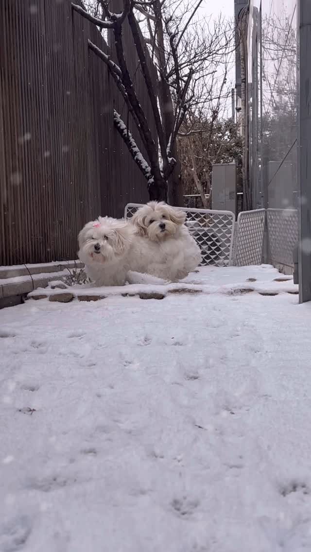 Post 5 by Jung Dayeon on Instagram (video)