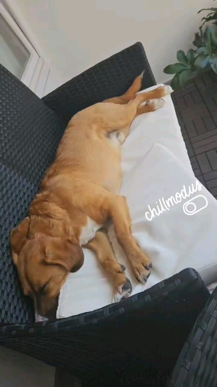 Post 8 by Debo on Instagram (video)
