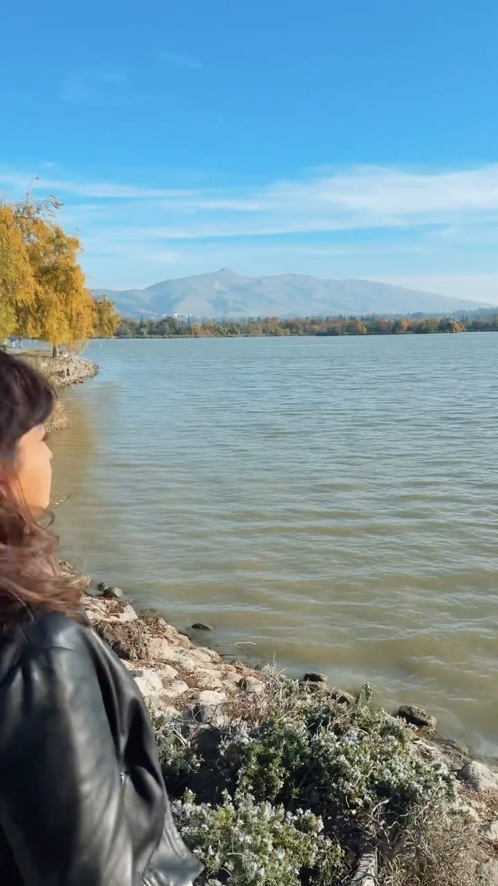 Post 3 by Hina Manzur on Instagram (video)
