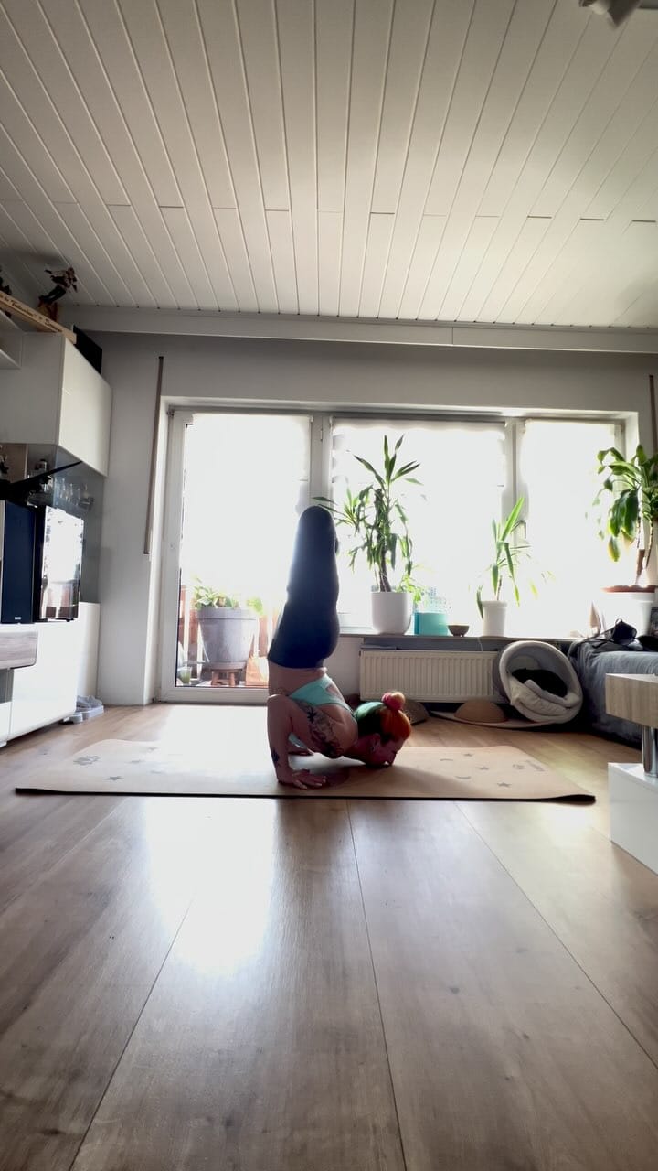 Post 6 by Naddl Mayer on Instagram (video)