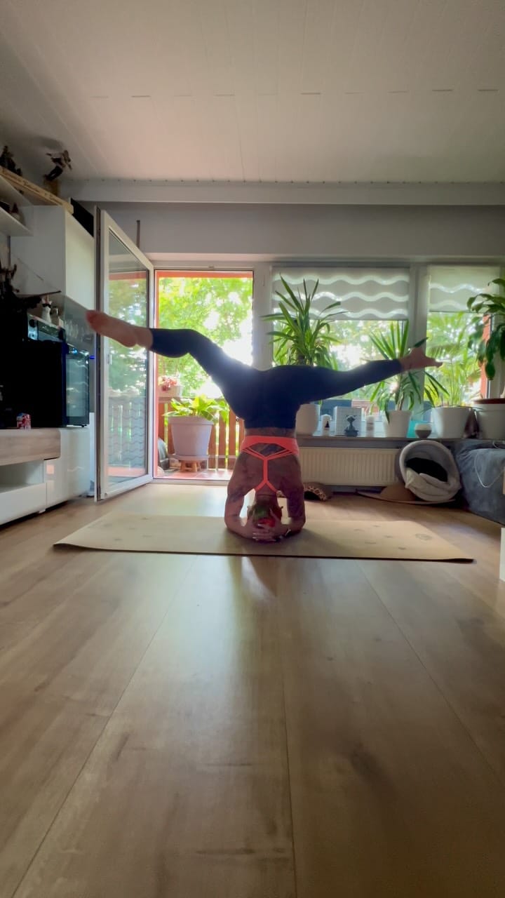 Post 4 by Naddl Mayer on Instagram (video)