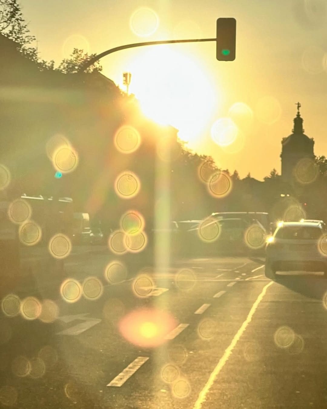 Post 6 by Kate Paladi on Instagram (image)
