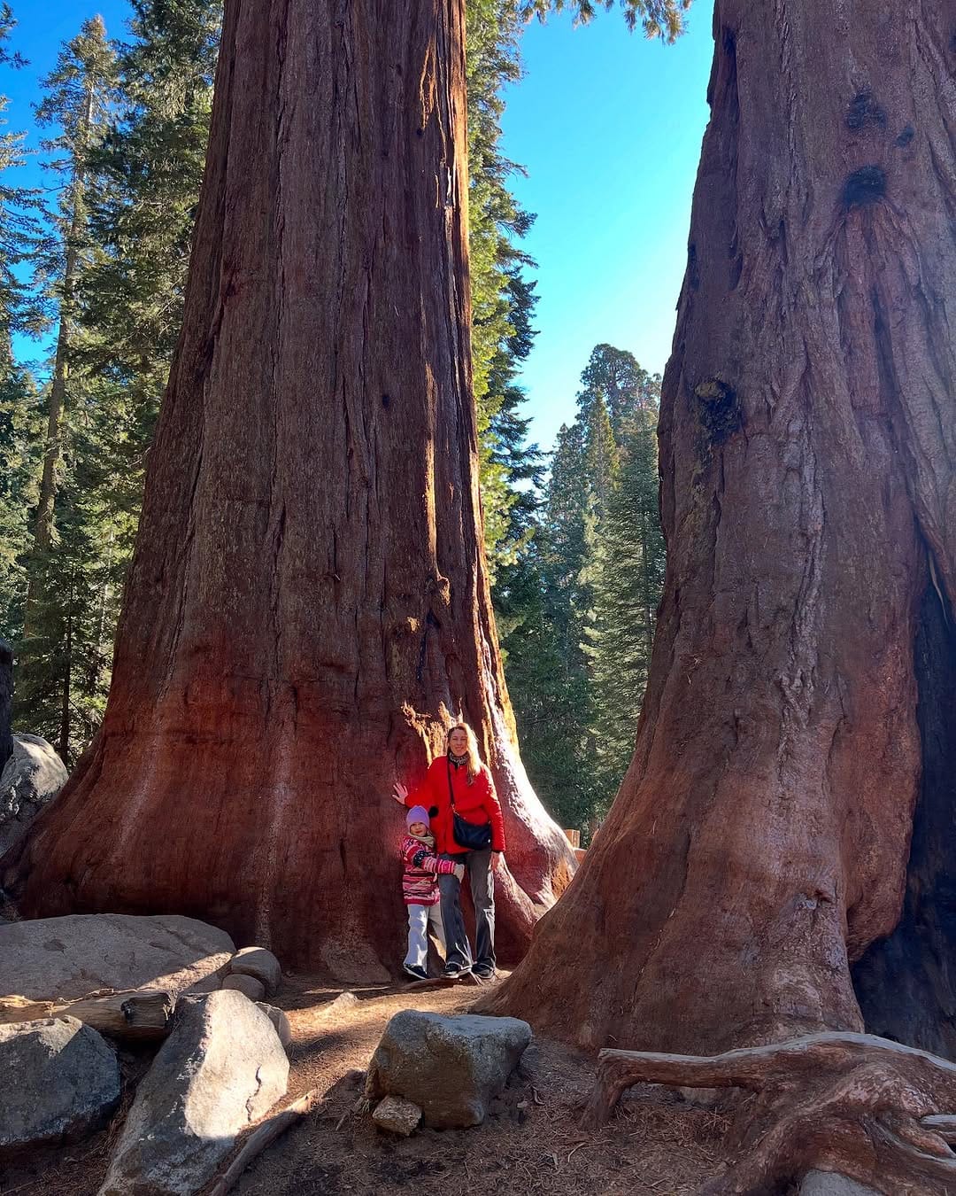Post 9 by Kate Paladi on Instagram (image)