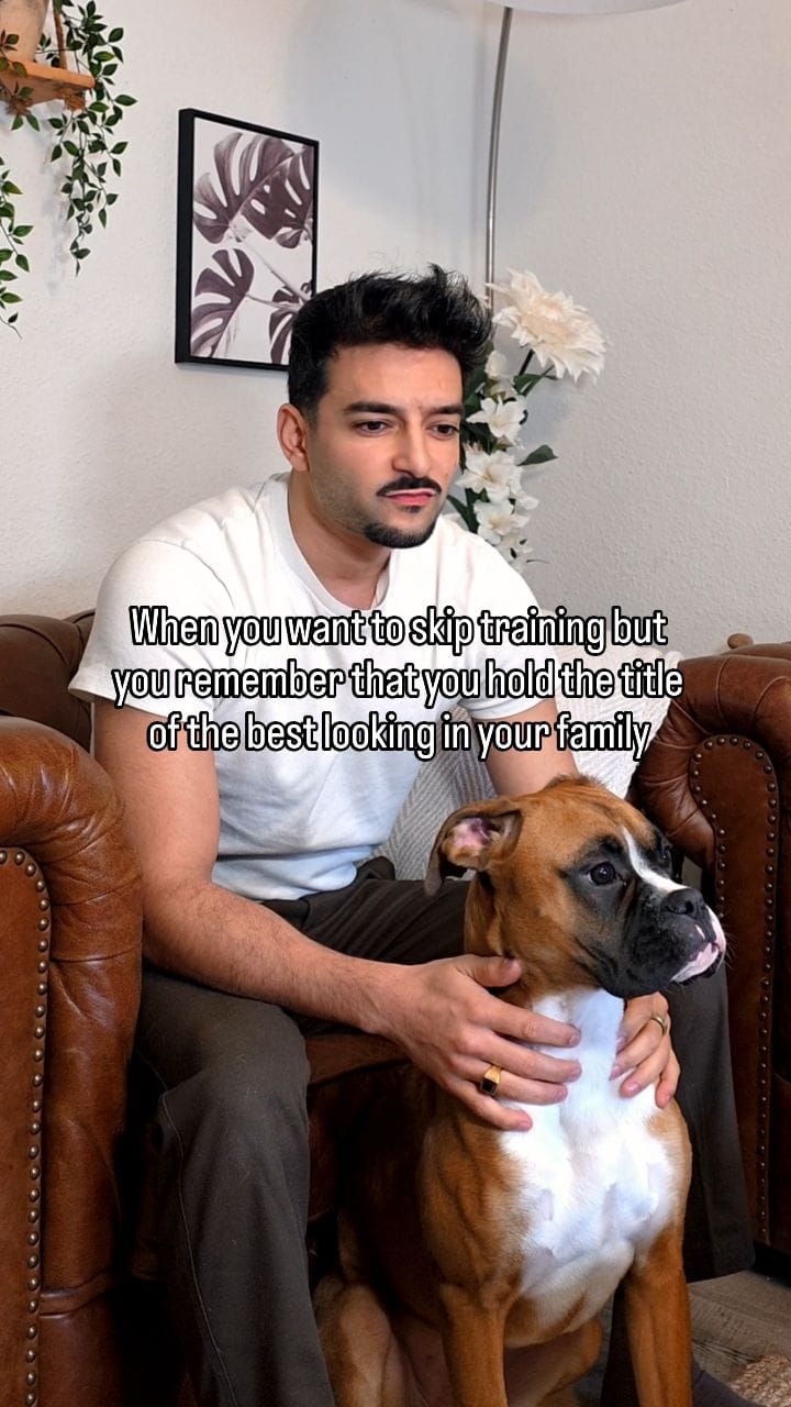 Post 7 by Diaeko Seyedzadeh on Instagram (video)