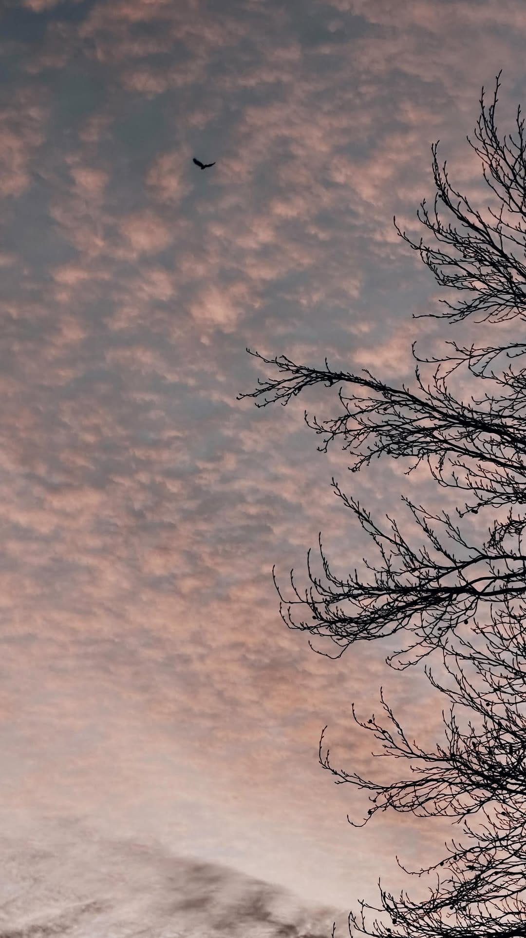 Post 8 by Stephi Wolff on Instagram (video)