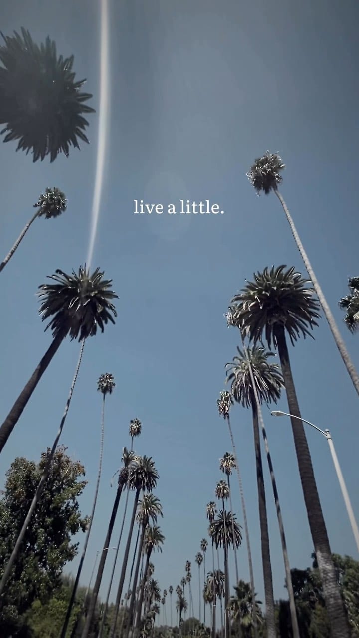 Post 4 by Stefan Goepfert on Instagram (video)