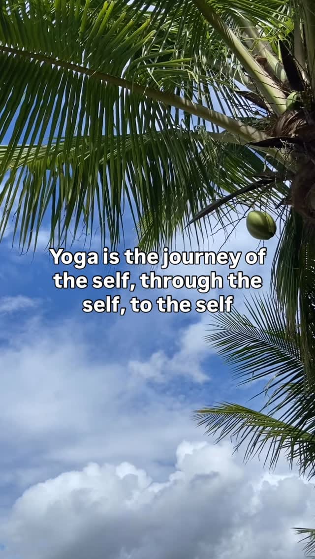 Post 2 by Moksha Yoga Amazónica on Instagram (video)