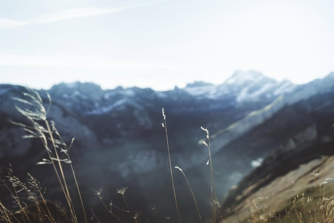 Post 2 by Tim Kunze | #adventureaddicted on Instagram (image)