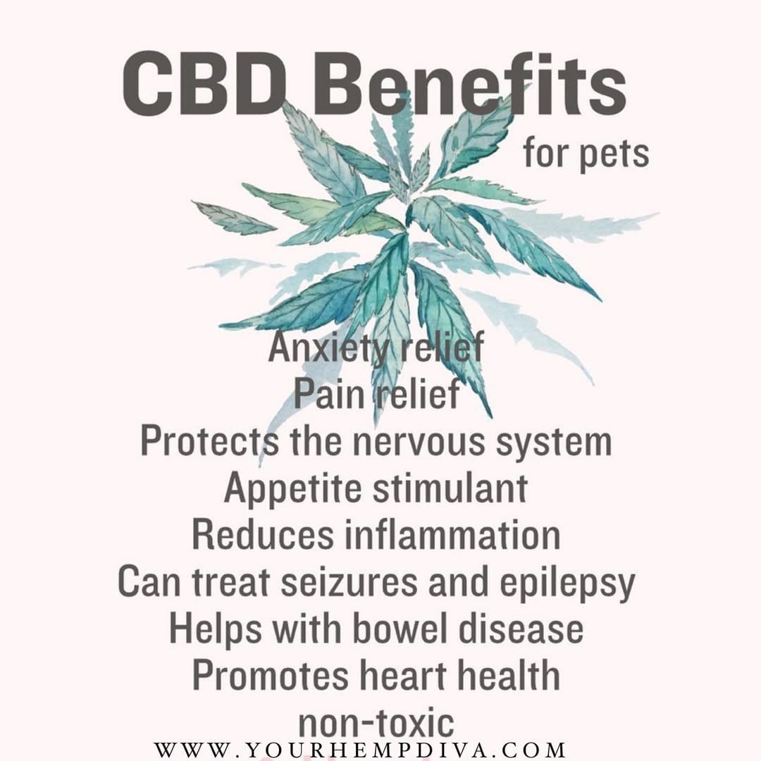 Post 8 by CBD News & Education on Instagram (image)