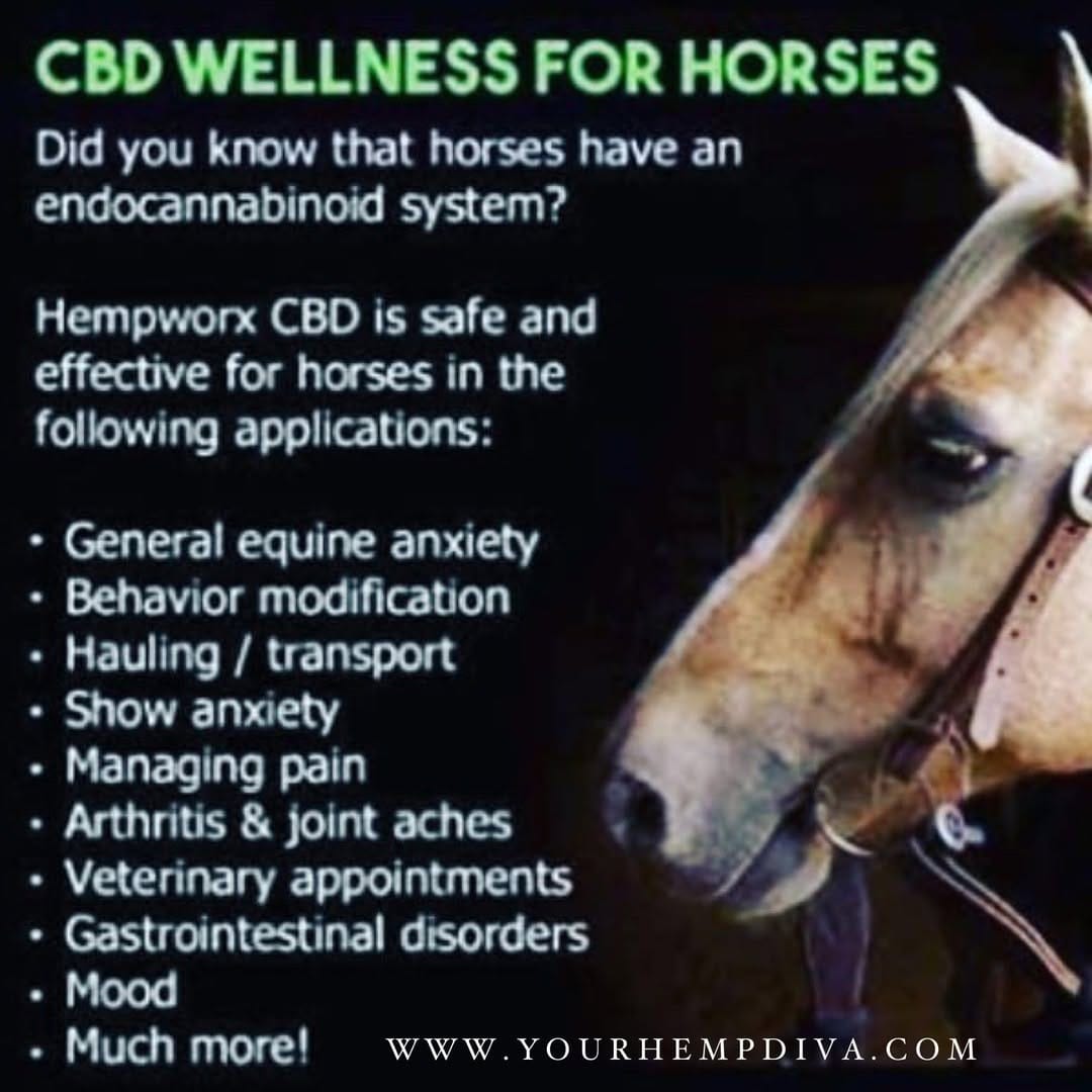Post 6 by CBD News & Education on Instagram (image)