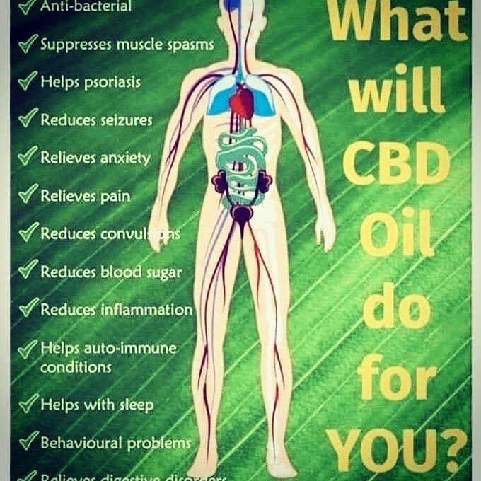 Post 1 by CBD News & Education on Instagram (image)