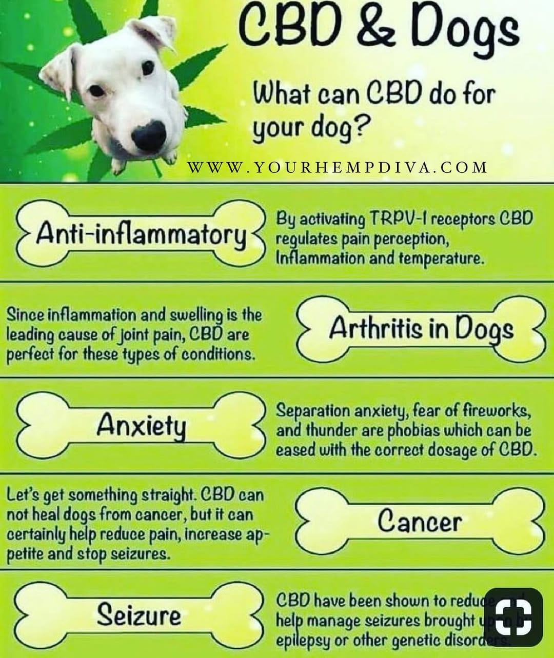 Post 7 by CBD News & Education on Instagram (image)