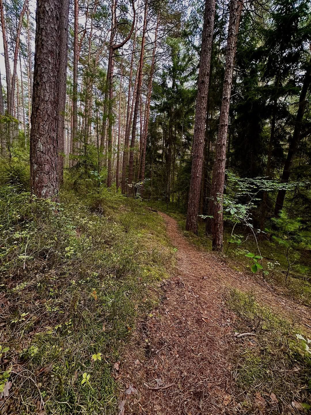 Post 9 by Joppo | Natur | Camping | fotografieren on Instagram (carousel)