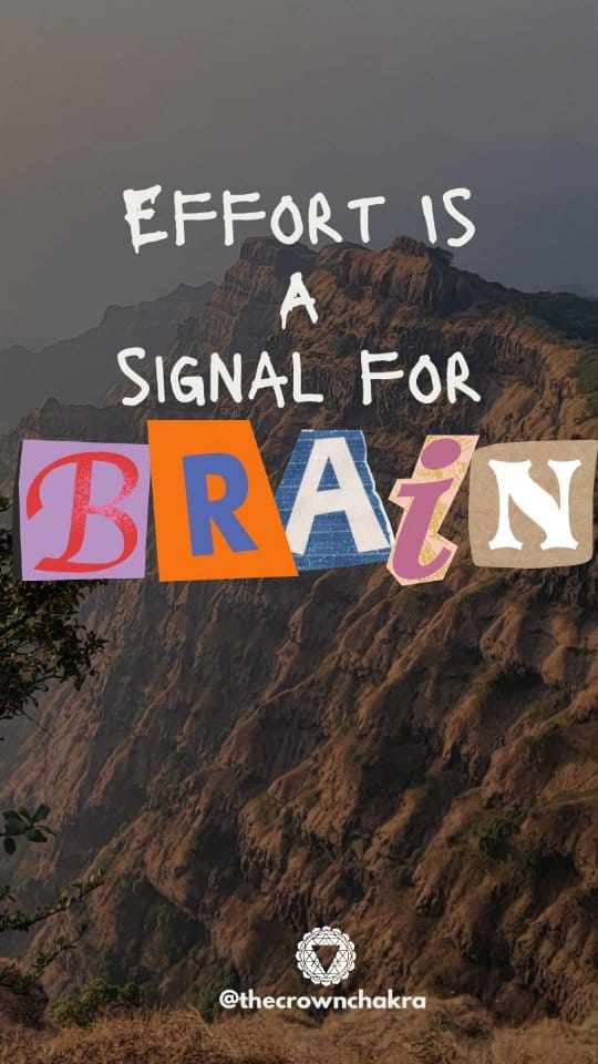 Post 7 by 𝐒ɦα𝗄𝗍𝗂 | 𝐘𝐨𝐠𝐚 𝐭𝐞𝐚𝐜𝐡𝐞𝐫 | Neurobiologist | Author on Instagram (video)