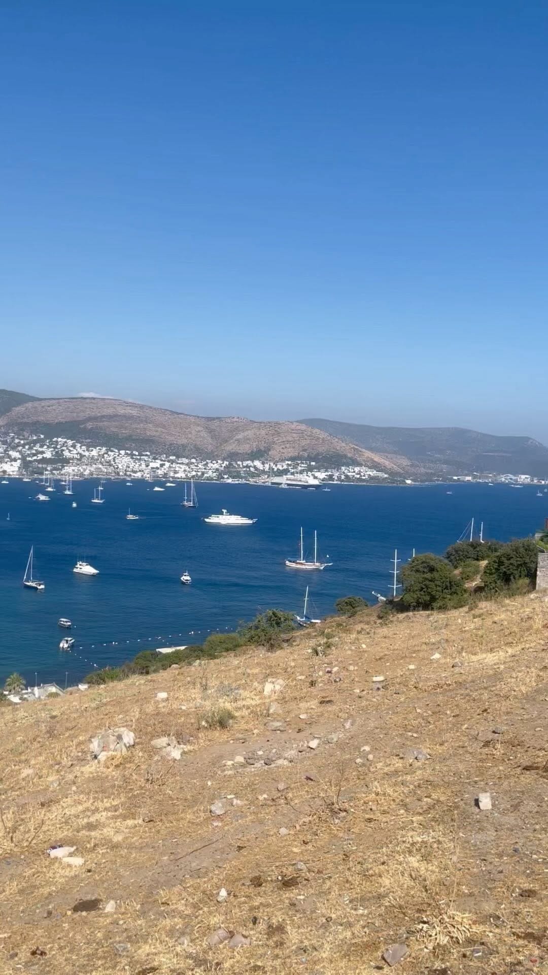 Post 8 by Silvie Sissi Cammerer on Instagram (video)