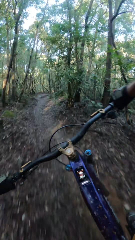 Post 8 by Dennis Stratmann / photo on Instagram (video)