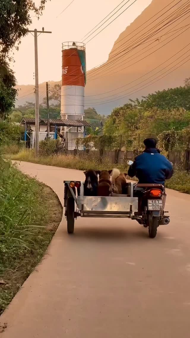 Post 5 by Thaibodywork.eu on Instagram (video)