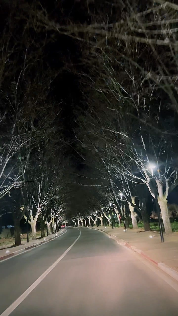 Post 3 by Mohamed Badr Bennani on Instagram (video)
