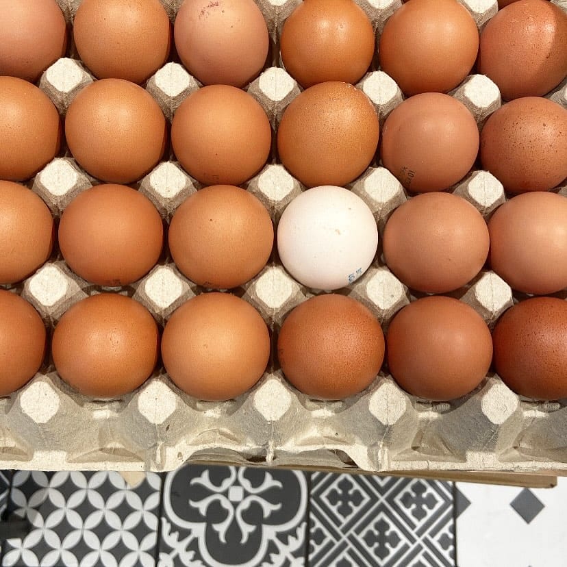 Post 1 by Ô Bocal | Épicerie bio, vrac & zéro déchet 🫙 on Instagram (carousel)