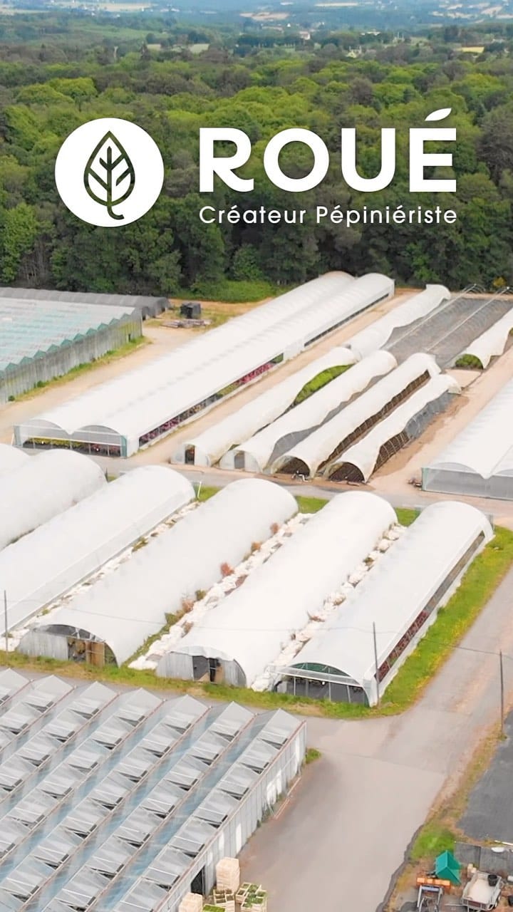 Post 10 by Roué Pépinières on Instagram (video)