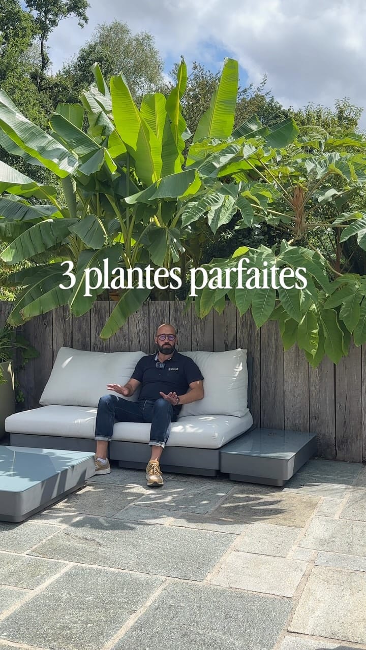 Post 9 by Roué Pépinières on Instagram (video)
