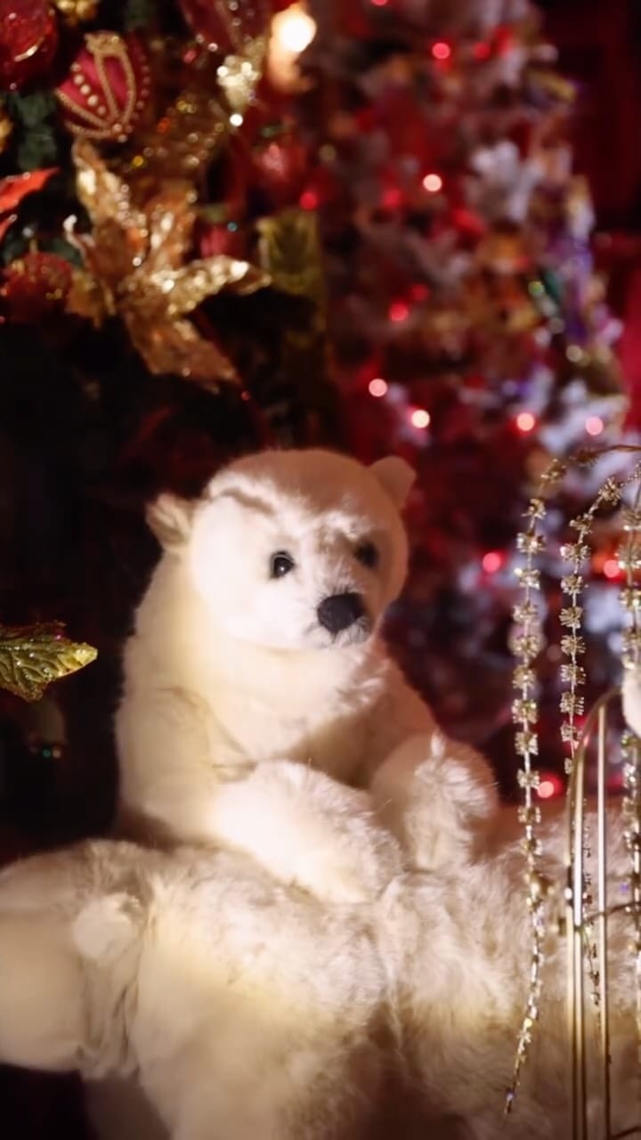 Post 3 by La Maison du Roy on Instagram (video)