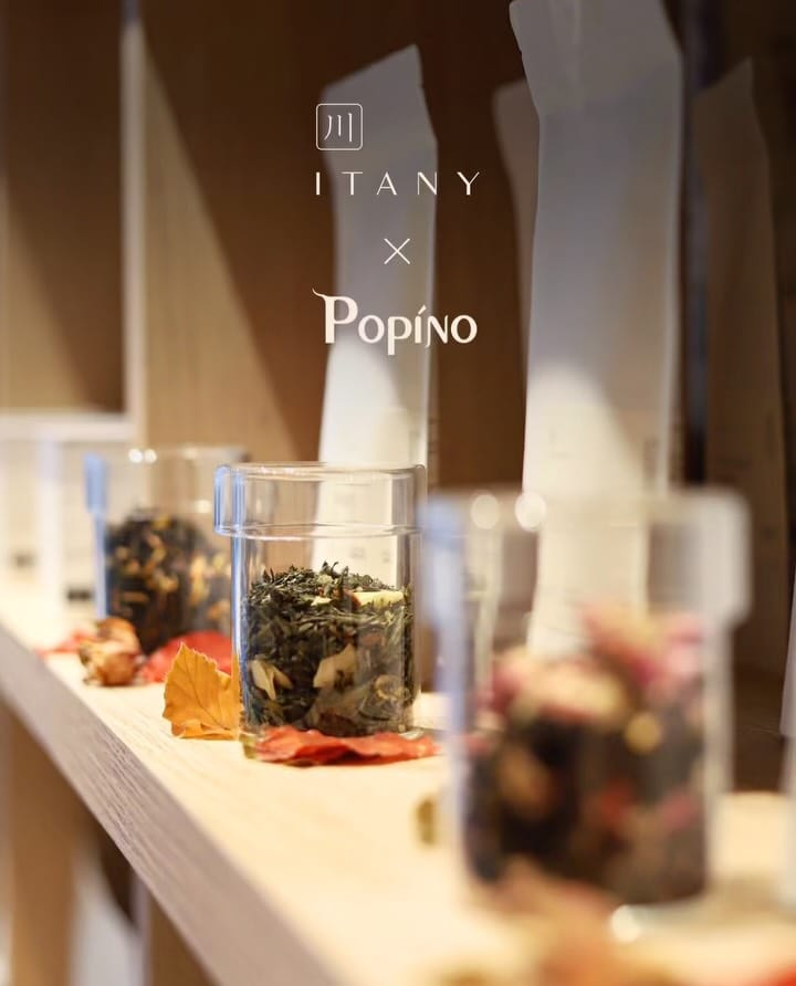 Post 8 by Popino[포피노] on Instagram (carousel)