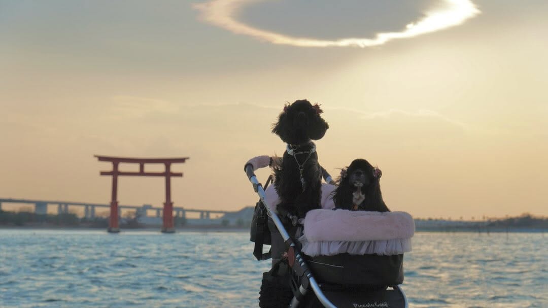 Post 4 by Rukana Kitajima on Instagram (carousel)