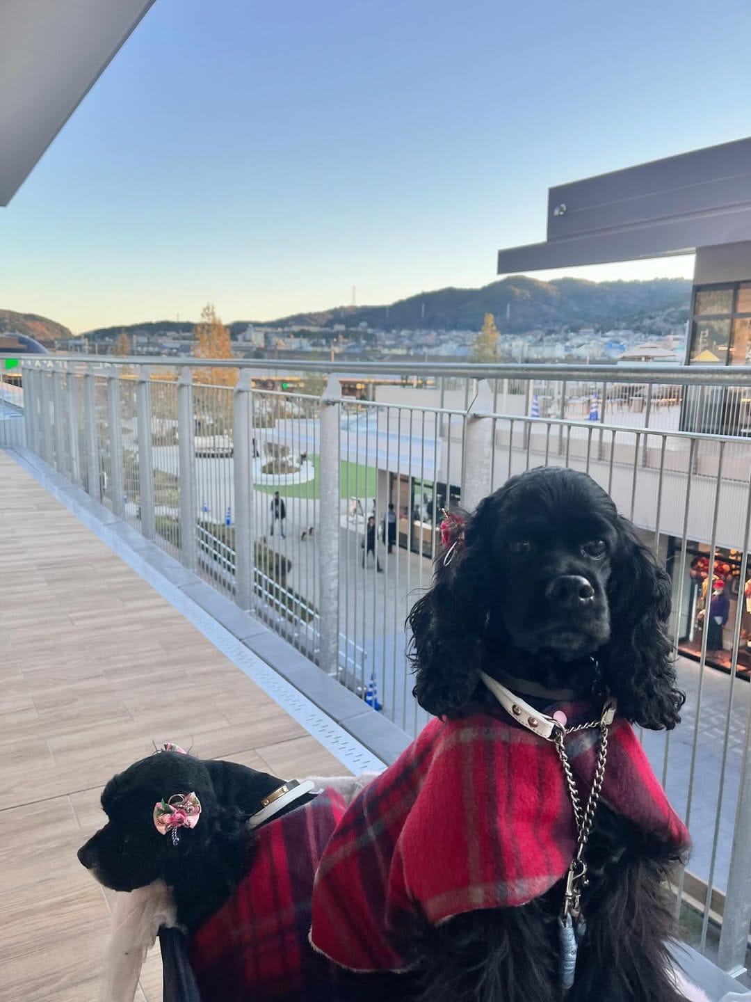 Post 2 by Rukana Kitajima on Instagram (carousel)