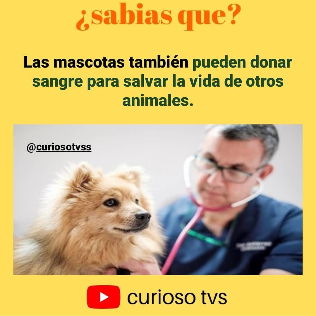 Post 1 by curiosotv ¿sabias que? ... on Instagram (image)
