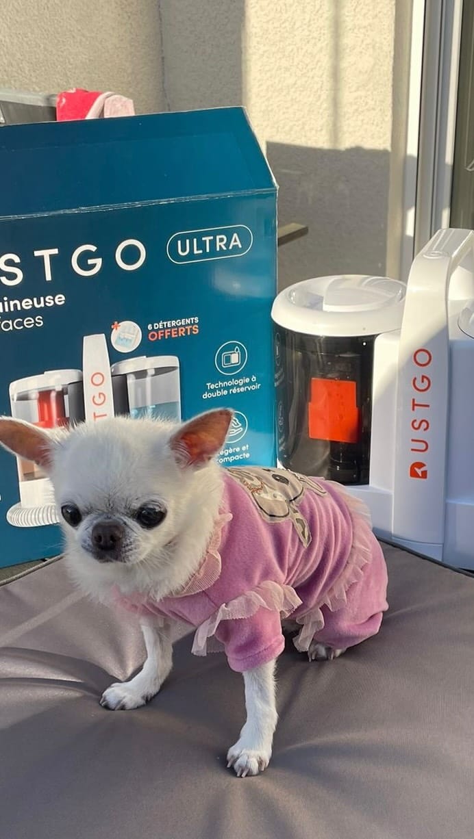 Post 9 by Melody Fashiondog Bordeaux on Instagram (video)