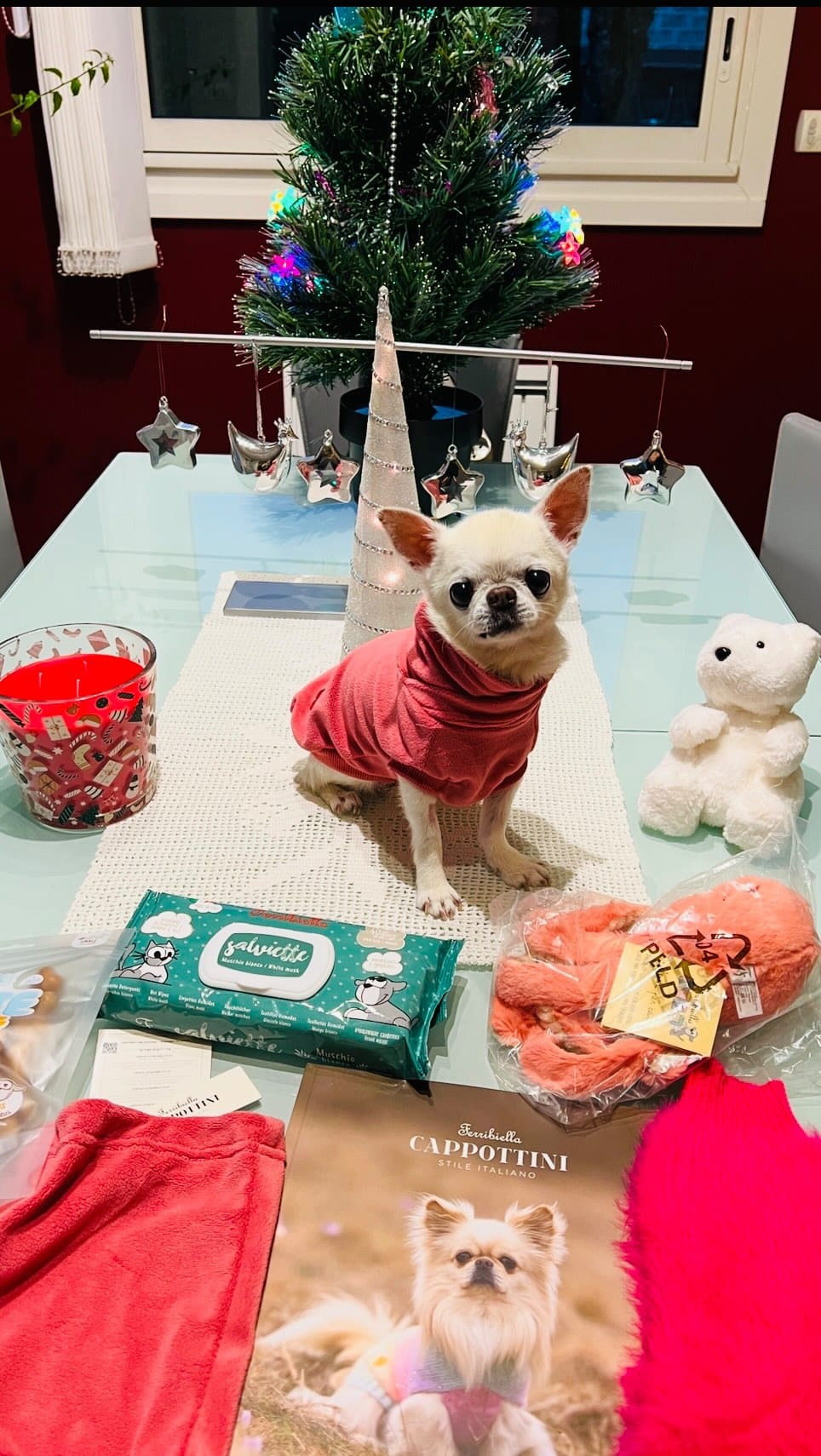 Post 2 by Melody Fashiondog Bordeaux on Instagram (video)