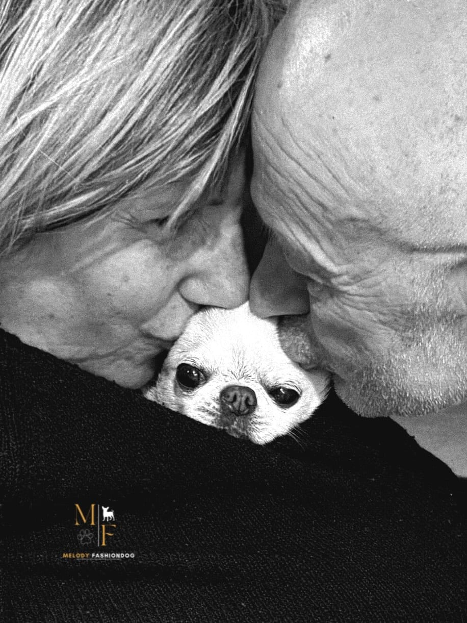 Post 5 by Melody Fashiondog Bordeaux on Instagram (image)