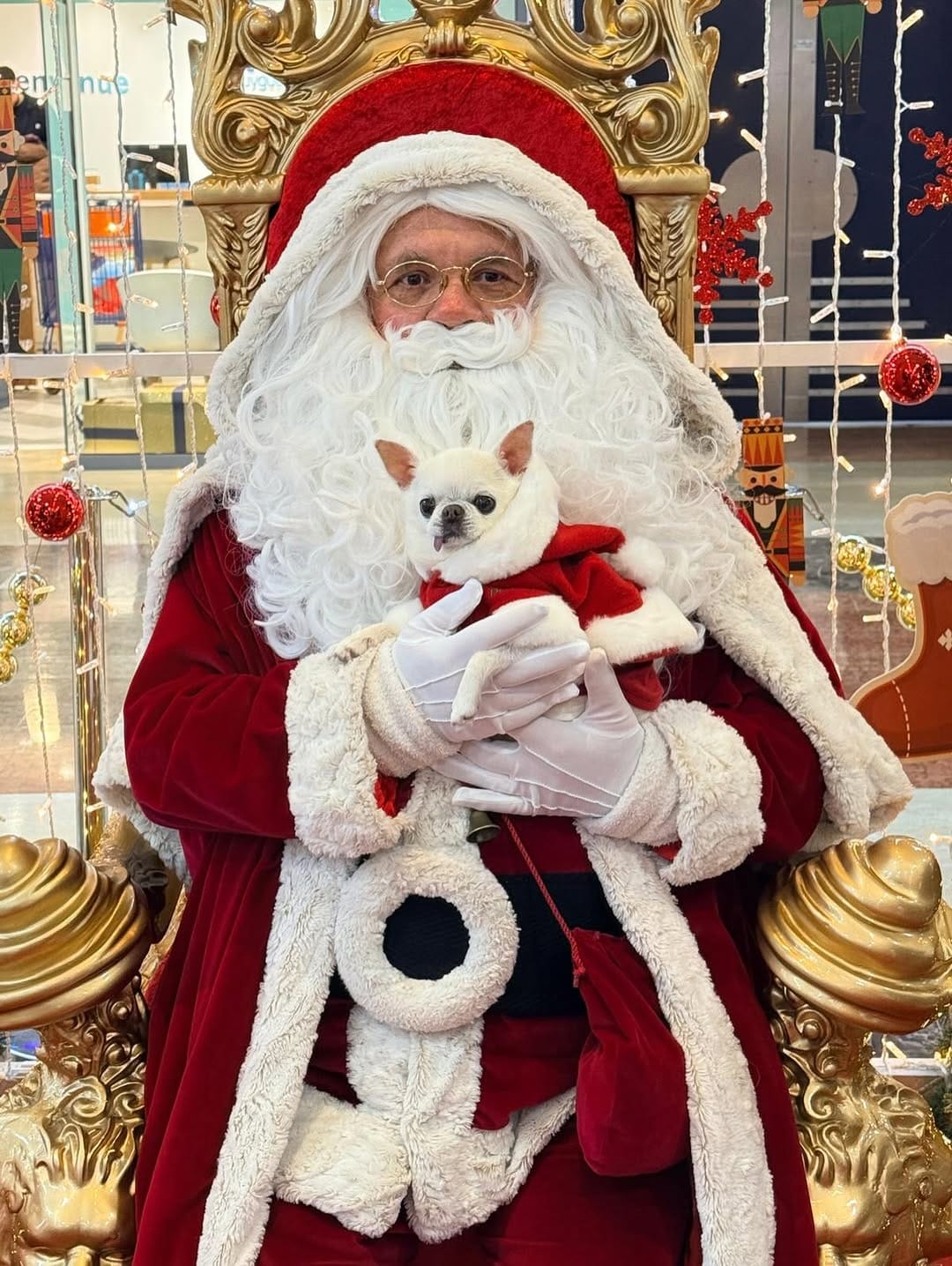 Post 3 by Melody Fashiondog Bordeaux on Instagram (carousel)
