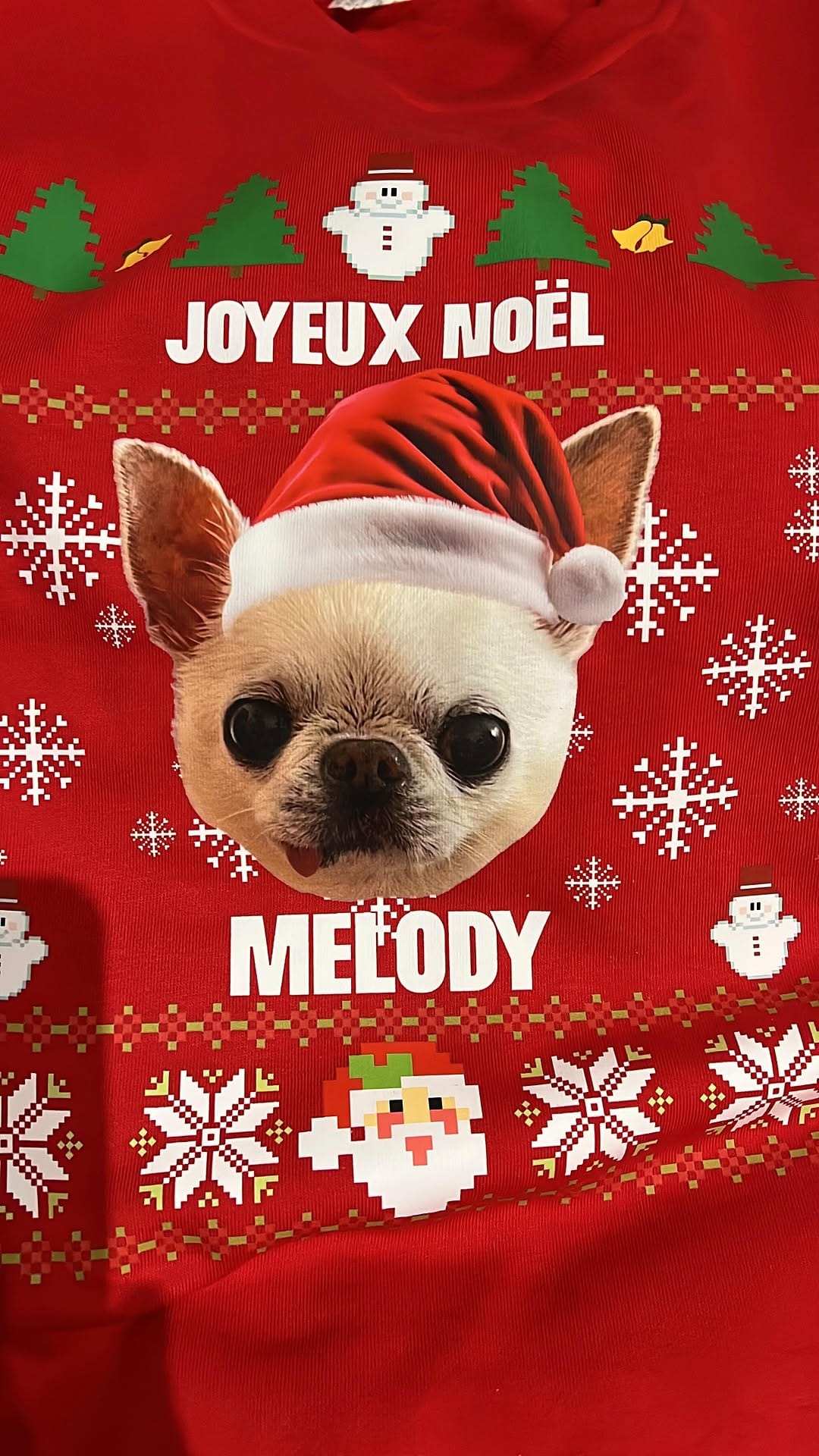 Post 4 by Melody Fashiondog Bordeaux on Instagram (video)