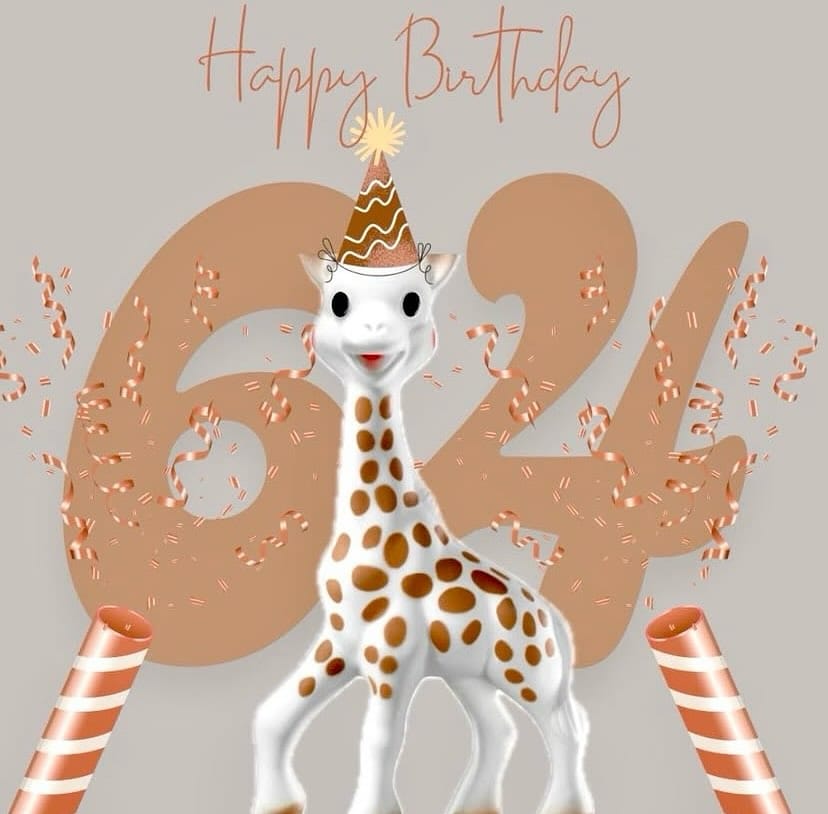Post 6 by Sophie la girafe ~ India on Instagram (image)