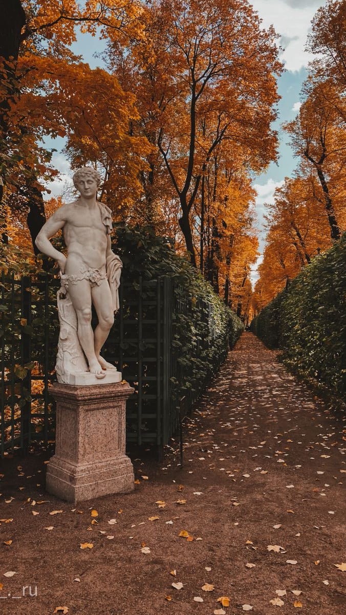 Post 6 by Nivya | Fashion & lifestyle creator in Paris on Instagram (video)