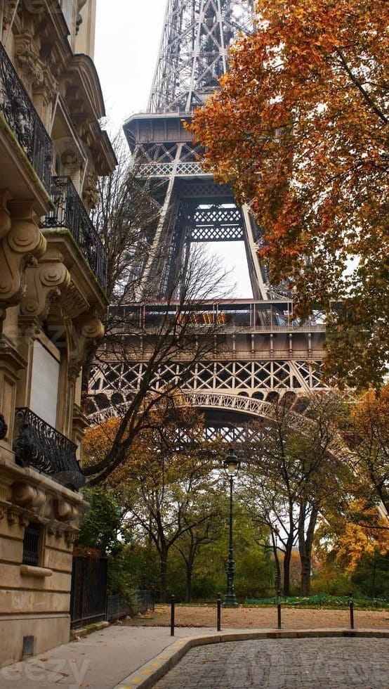 Post 8 by Nivya | Fashion & lifestyle creator in Paris on Instagram (video)
