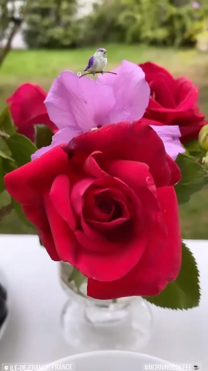Post 3 by Fawzi El Baccouche on Instagram (video)