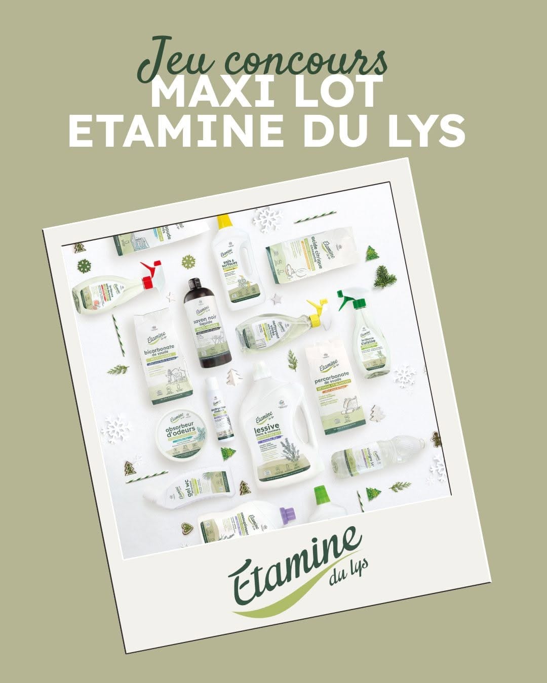 Post 7 by Etamine du lys on Instagram (image)