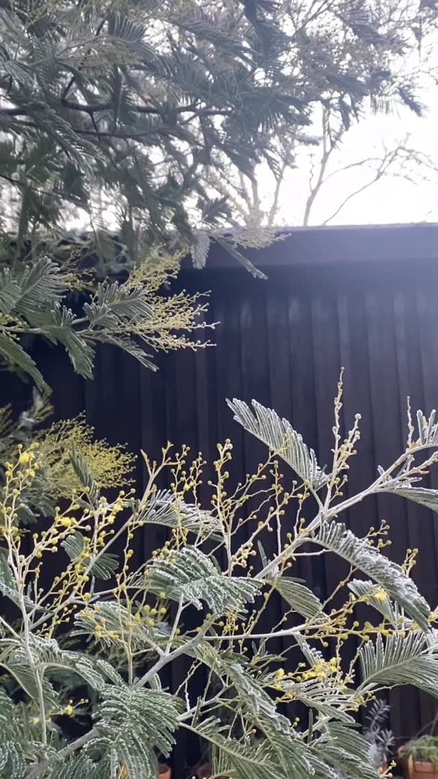Post 2 by Florence Bouvier ⭐️ on Instagram (video)