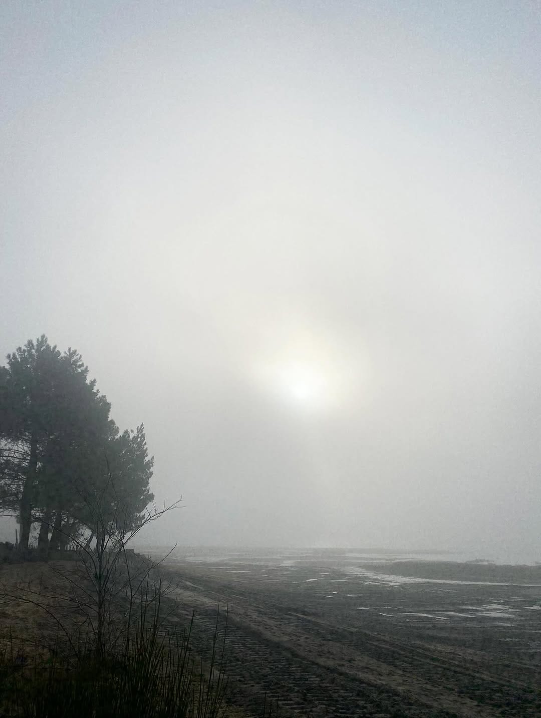 Post 4 by Florence Bouvier ⭐️ on Instagram (image)