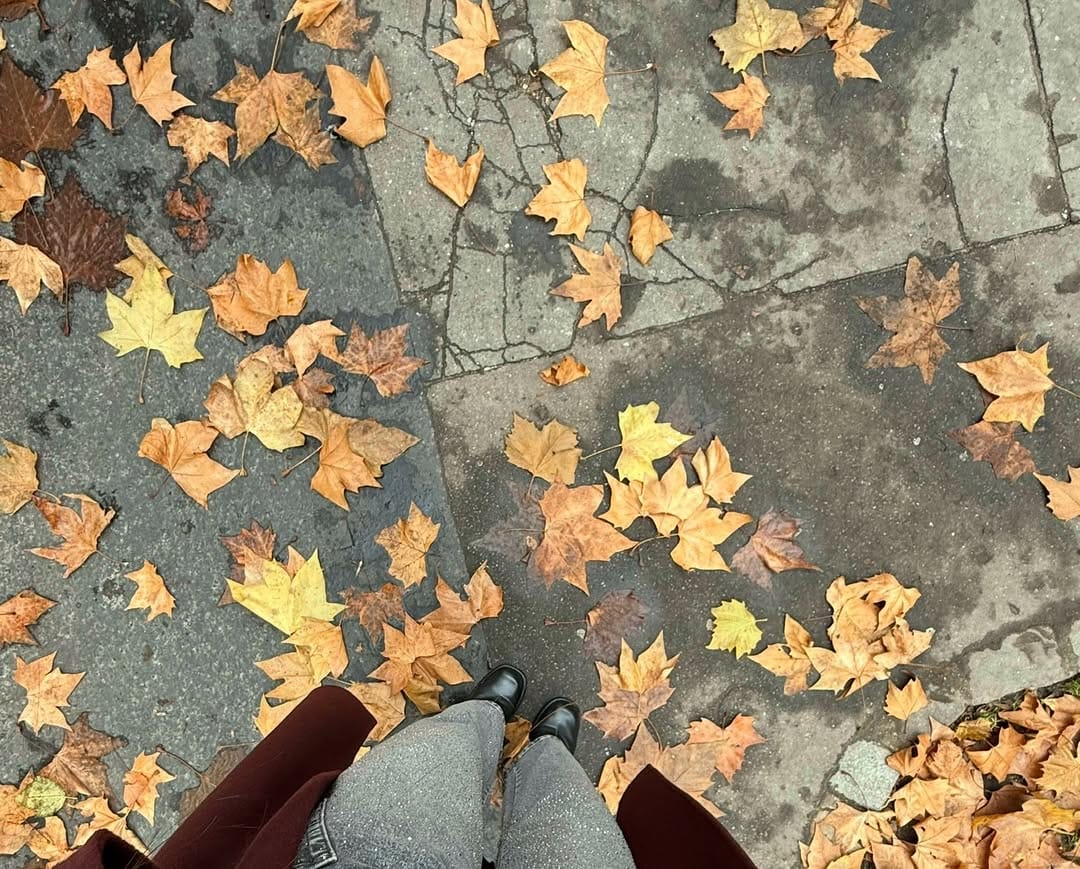 Post 3 by PRÊT À PORTER POUR FEMMES on Instagram (image)