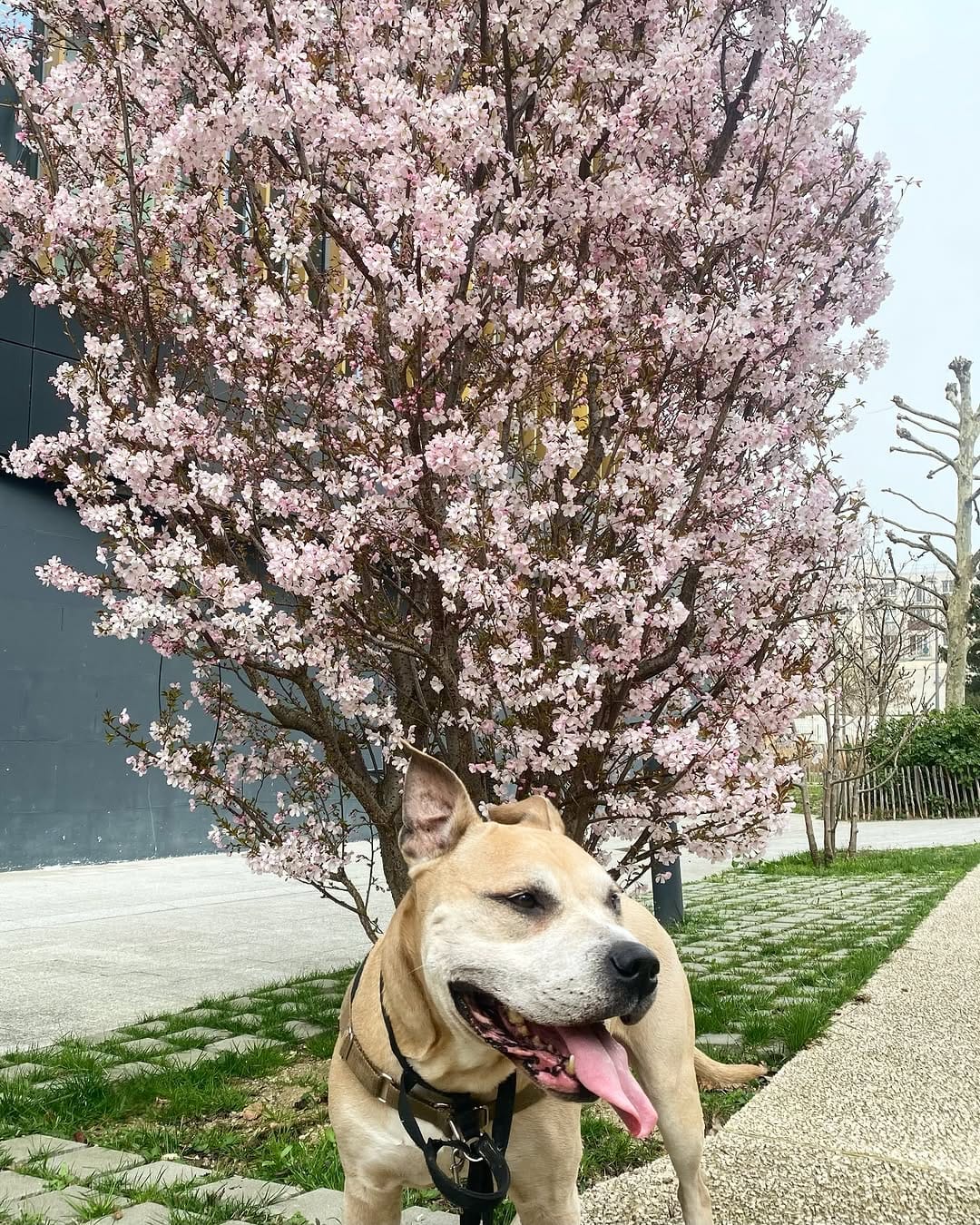 Post 9 by V I N T A G E x D E A L E R on Instagram (image)